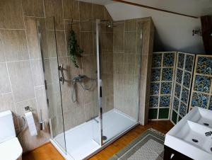 a bathroom with a shower and a sink at Les champs sauvages in Saint-Barnabé