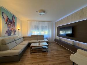 a living room with a couch and a tv at FeWo Bispingen in Bispingen