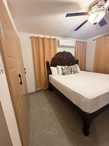a bedroom with a bed and a ceiling fan at Royal's 2 Bedroom suite in Kingston +31 photos