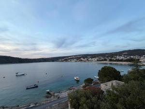 a large body of water with boats in it at Apartman 6 Majba in Zaglavice +4 photos