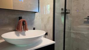 a bathroom with a white sink and a shower at Huisje Jan in Hoenderloo +15 photos