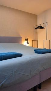 a bedroom with a large bed with blue pillows at Huisje Jan in Hoenderloo