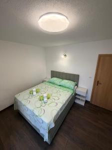 a bedroom with a bed with a light on the ceiling at Apartman 5 Majba in Zaglavice
