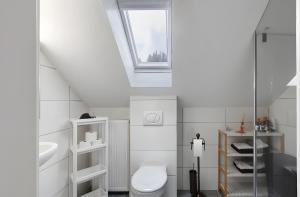 a bathroom with a toilet and a sink and a window at Schwarzwaldglück Loft in St. Blasien +33 photos