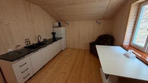 a kitchen with a sink and a refrigerator in a room at Mountain apartments in Usteriki
