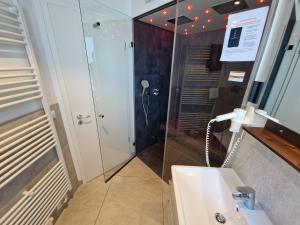 a bathroom with a shower and a sink at Ferienwohnung Austernfischer Marina Wendtorf in Wendtorf