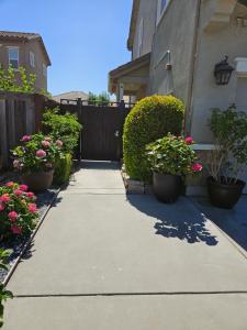 a sidewalk in front of a house with potted plants at Gateway to Napa in Fairfield