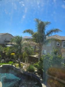 a view of a yard with palm trees and a swimming pool at Gateway to Napa in Fairfield