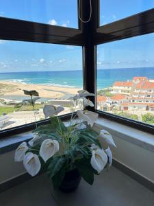 a plant in a window sill with a view of the ocean at Face a l'océan, vue panoramique, 3 min a pied de la plage, Praia da areia branca in Praia da Areia Branca