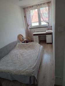 a bedroom with a bed and a desk and a window at Apartament Kościelna, dwie oddzielne sypialnie in Białystok