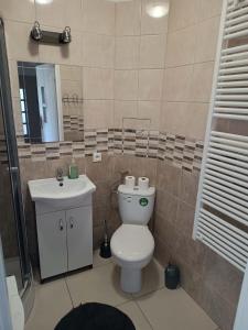a bathroom with a toilet and a sink at Apartament Kościelna, dwie oddzielne sypialnie in Białystok