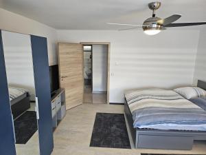 a bedroom with a bed and a ceiling fan at RUWERA SONNENHÜGEL - Moderne Ferienwohnung - eigener Eingang, Garten und Terrasse in Trier