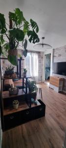 a living room with potted plants on a wooden floor at Charmant studio in Vernon