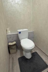 a bathroom with a white toilet and a rug at Квітуча Гора Double Room in Lazeshchyna