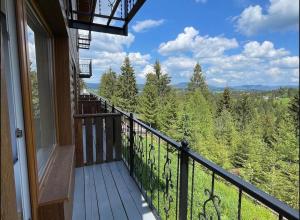 a balcony with a view of the woods at Квітуча Гора Double Room in Lazeshchyna