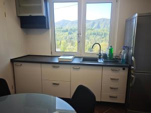 a kitchen with a sink and a large window at Apartmaji pr'Muranček in Radovljica