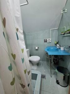 a bathroom with a toilet and a blue sink at TARA RIVER HOUSE in Odžića Glavica +25 photos