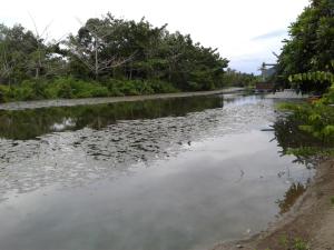 Galeriebild der Unterkunft Homestay Seri Nipah Perlis in Kangar