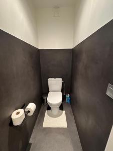 a bathroom with a toilet and two rolls of toilet paper at C-Blanche in Blankenberge +18 photos
