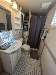 a small bathroom with a sink and a toilet at Studio Loft #9 at Riverside Point Resort in Park Rapids