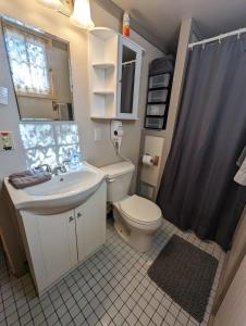 a bathroom with a sink and a toilet and a shower at Studio Loft #9 at Riverside Point Resort in Park Rapids