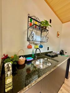 a kitchen with a sink and a counter top at Tiny House Londres, Timbó in Timbó