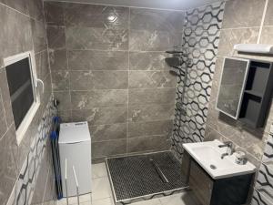 ein Badezimmer mit Waschbecken, Toilette und Spiegel in der Unterkunft SCi 3I in Cayenne