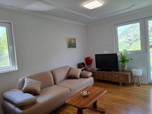 a living room with a couch and a tv at TARA RIVER HOUSE in Odžića Glavica