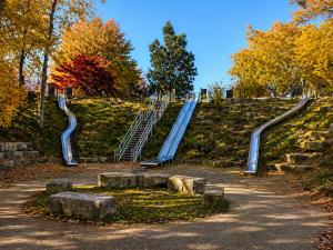 a park with a slide on a hill with trees at Spacious Frontier Park Apartment in Erie