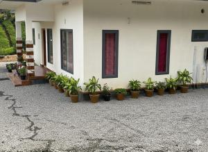 a group of potted plants on the side of a building at Peak Vagamon in Vagamon