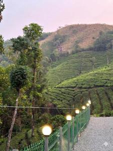 a fence with street lights in front of a tea plantation at Peak Vagamon in Vagamon