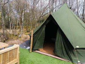 a green tent on the grass in the woods at Green woodland bell tent in Ynys Station