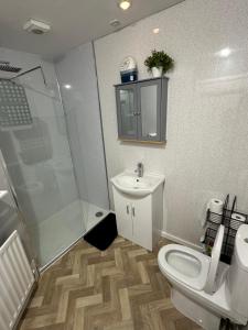 a bathroom with a shower sink and a toilet at Impala Apartment in Wick +8 photos