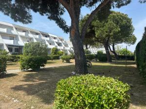 a tree in a park with a building in the background at La Terrazza sul Delta in Porto Levante