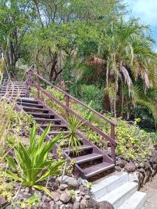a set of stairs in a garden with palm trees at GîteTi Coco de Malendure - Bord de mer - 4 pers in Bouillante