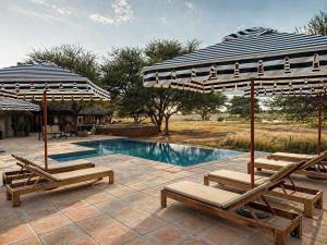 a pool with two lounge chairs and an umbrella at Avenir Safari Group in Okahandja