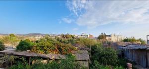 a group of buildings with plants on the roofs at Villa Galactik Pegasus in Tamraght Ou Fella