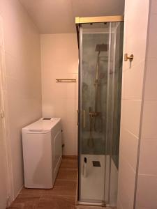 a bathroom with a shower next to a toilet at Casa rural en La Adrada con jardín in La Adrada +49 photos