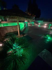 a night view of a building with green lights at Jimmy's place in Artemida
