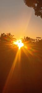 a sunset with the sun shining through trees at Pousada são Martins in Estivado