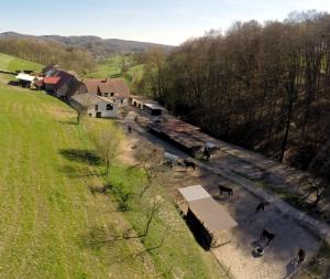 un grupo de caballos parados en el agua cerca de un granero en Pferdehof und Wanderreitstation Dörsam, en Mörlenbach