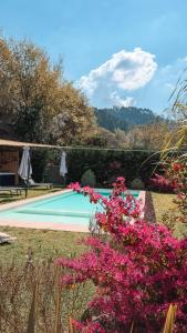 a swimming pool with pink flowers in the yard at Caniçada Home in Vieira do Minho