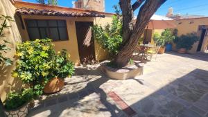 a courtyard with a tree and a house at Posada Las Reynas in Mineral de Pozos