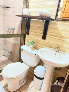a bathroom with a toilet and a sink at Hotel Don Roberto in San Isidro de El General