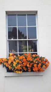 a window with orange flowers in a window box at private room in Leamington Spa