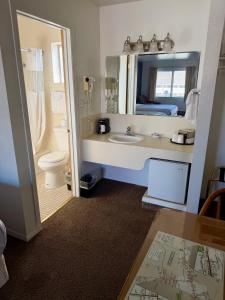 a bathroom with a sink and a toilet and a mirror at Bristlecone Motel in Ely +28 photos