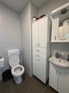a bathroom with a toilet and a sink at Apartman VIA in Žabljak