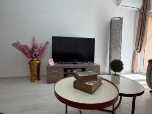 a living room with a tv and a coffee table at Apartman VIA in Žabljak