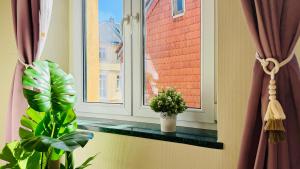a window with a potted plant on a window sill at FewoZauber "Pension am Dom", Historische Apartments, Superzentral, 7min zum Schloss in Schwerin