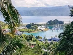a view of a harbor with boats in the water at Savusavu Terraces - Unit 2 in Savusavu